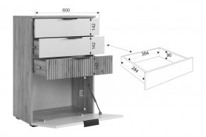 МЕБЕЛЬСОН К21 Прихожая в Лесном - lesnoy.mebel24.online | фото 9