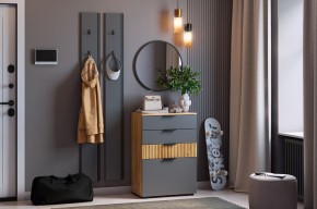 МЕБЕЛЬСОН К21 Прихожая  (графит) в Лесном - lesnoy.mebel24.online | фото