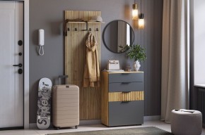 МЕБЕЛЬСОН К3 Прихожая (графит) в Лесном - lesnoy.mebel24.online | фото
