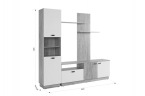МОДИ К1 Гостиная (белое дерево) в Лесном - lesnoy.mebel24.online | фото 2