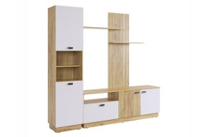 МОДИ К1 Гостиная (белое дерево) в Лесном - lesnoy.mebel24.online | фото 6