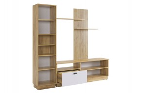 МОДИ К1 Гостиная (белое дерево) в Лесном - lesnoy.mebel24.online | фото 7