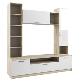 Модуль Софи СЦС 1900.1 Гостиная №4 в Лесном - lesnoy.mebel24.online | фото
