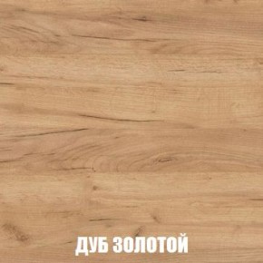МСП-1 Шкаф 2-х створчатый (Дуб Золотой/Камень темный) в Лесном - lesnoy.mebel24.online | фото 4