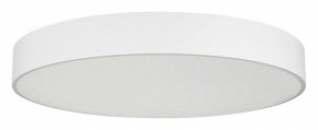 Накладной светильник Arlight TOR PILL 022132(4) в Лесном - lesnoy.mebel24.online | фото