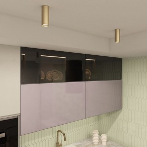 Накладной светильник Denkirs TUBE DK2051-SG в Лесном - lesnoy.mebel24.online | фото 4