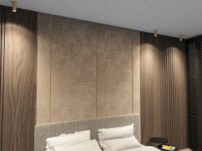 Накладной светильник Denkirs TUBE DK2051-SG в Лесном - lesnoy.mebel24.online | фото 6