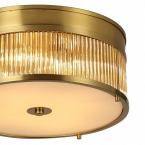 Накладной светильник Favourite Mirabili 2850-4C в Лесном - lesnoy.mebel24.online | фото 2