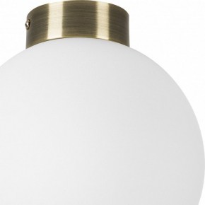 Накладной светильник Lightstar Globo 812021 в Лесном - lesnoy.mebel24.online | фото 3