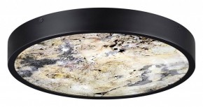 Накладной светильник Odeon Light Bergi 5064/30L в Лесном - lesnoy.mebel24.online | фото 4