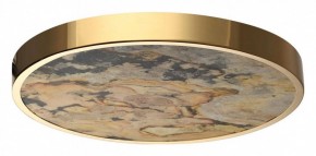 Накладной светильник Odeon Light Bergi 5079/40L в Лесном - lesnoy.mebel24.online | фото 4