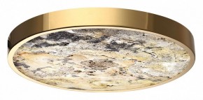 Накладной светильник Odeon Light Bergi 5079/40L в Лесном - lesnoy.mebel24.online | фото 6