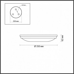 Накладной светильник Odeon Light Pelow 4956/4 в Лесном - lesnoy.mebel24.online | фото 3