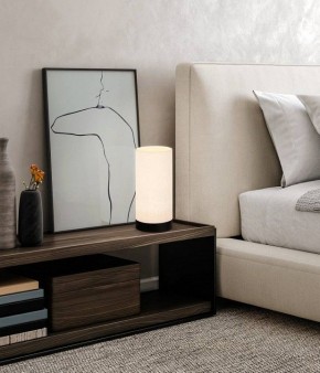 Настольная лампа декоративная Eglo Feniglia 900861 в Лесном - lesnoy.mebel24.online | фото 2