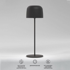 Настольная лампа декоративная Elektrostandard Bitty a069002 в Лесном - lesnoy.mebel24.online | фото 2
