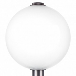 Настольная лампа декоративная Lightstar Colore 805916 в Лесном - lesnoy.mebel24.online | фото 6