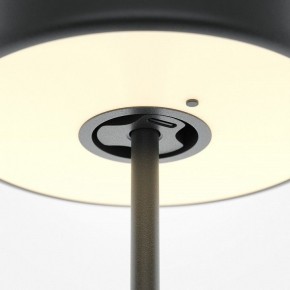 Настольная лампа декоративная Maytoni AI Collaboration MOD229TL-L3B3K2 в Лесном - lesnoy.mebel24.online | фото 5