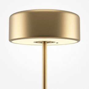 Настольная лампа декоративная Maytoni AI Collaboration MOD229TL-L3G3K2 в Лесном - lesnoy.mebel24.online | фото 4