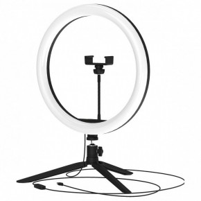 Настольная лампа кольцевая Gauss Ring Light RL003 в Лесном - lesnoy.mebel24.online | фото