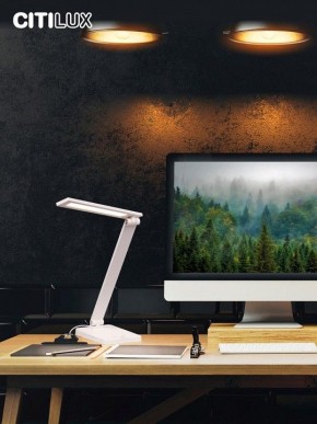 Настольная лампа офисная Citilux Ньютон CL803080 в Лесном - lesnoy.mebel24.online | фото 10