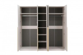 НИКОЛЬ 25 Шкаф 5-ти створчатый в Лесном - lesnoy.mebel24.online | фото 3