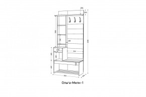 ОЛЬГА-МИЛК Прихожая (модульная) в Лесном - lesnoy.mebel24.online | фото 2