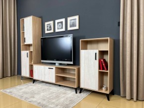 ОСКАР TRIO Гостиная (дуб золотой/сосна белая loft) в Лесном - lesnoy.mebel24.online | фото 3