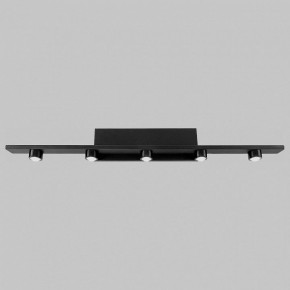 Подсветка для картины Imex VINCENT IL.0040.0050-5 SBK в Лесном - lesnoy.mebel24.online | фото