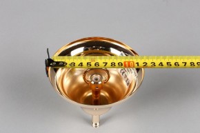 Подвесная люстра Aployt Daniele APL.701.03.12 в Лесном - lesnoy.mebel24.online | фото 6
