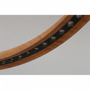 Подвесная люстра Aployt Justyna APL.787.03.75 в Лесном - lesnoy.mebel24.online | фото 10