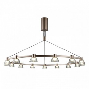 Подвесная люстра Aployt Rezeda APL.788.03.15 в Лесном - lesnoy.mebel24.online | фото 2