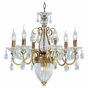 Подвесная люстра Arte Lamp Schelenberg A4410LM-6-2SR в Лесном - lesnoy.mebel24.online | фото
