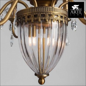Подвесная люстра Arte Lamp Schelenberg A4410LM-6-2SR в Лесном - lesnoy.mebel24.online | фото 3
