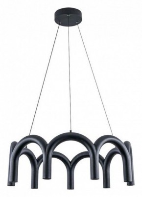 Подвесная люстра Arte Lamp Warhol A3258LM-45BK в Лесном - lesnoy.mebel24.online | фото 2