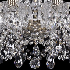 Подвесная люстра Bohemia Ivele Crystal 1411 1411/10/195/Pa в Лесном - lesnoy.mebel24.online | фото 3