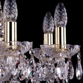 Подвесная люстра Bohemia Ivele Crystal 1413 1413/8/200/G в Лесном - lesnoy.mebel24.online | фото 2
