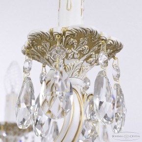 Подвесная люстра Bohemia Ivele Crystal AL7801 AL78101/10/250 A WMG в Лесном - lesnoy.mebel24.online | фото 7