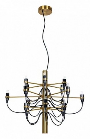 Подвесная люстра Divinare Molto 8030/17 LM-18 в Лесном - lesnoy.mebel24.online | фото 2