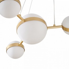 Подвесная люстра Favourite Asterismo 4448-6P в Лесном - lesnoy.mebel24.online | фото 7