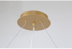 Подвесная люстра Favourite Ginkoa 4080-10P в Лесном - lesnoy.mebel24.online | фото 9