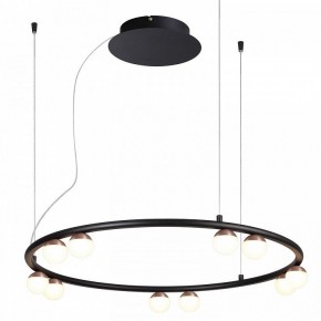 Подвесная люстра Favourite Knopp 4320-10P в Лесном - lesnoy.mebel24.online | фото 2