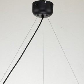 Подвесная люстра Favourite Light point 2997-6P в Лесном - lesnoy.mebel24.online | фото 11