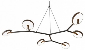Подвесная люстра Favourite Paritet 4401-6P в Лесном - lesnoy.mebel24.online | фото