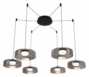 Подвесная люстра Favourite Platta 4490-6P в Лесном - lesnoy.mebel24.online | фото