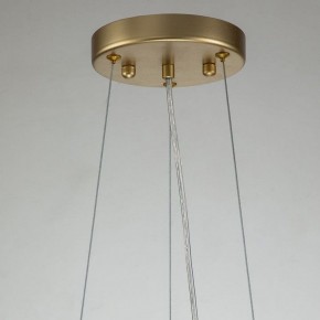 Подвесная люстра Favourite Rays 4058-14P в Лесном - lesnoy.mebel24.online | фото 11