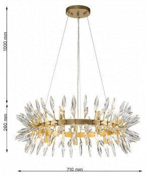 Подвесная люстра Favourite Rays 4058-14P в Лесном - lesnoy.mebel24.online | фото 7