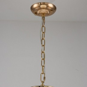 Подвесная люстра Favourite Rocca 2689-9P в Лесном - lesnoy.mebel24.online | фото 2