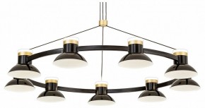 Подвесная люстра Favourite Tatti 4516-9P в Лесном - lesnoy.mebel24.online | фото