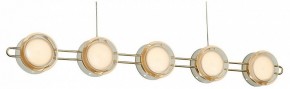 Подвесная люстра Favourite Yo-yo 4334-10P в Лесном - lesnoy.mebel24.online | фото