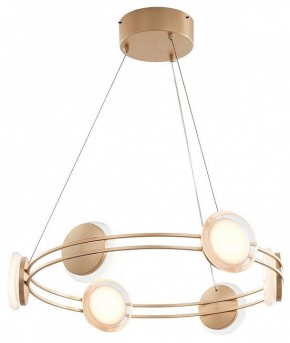 Подвесная люстра Favourite Yo-yo 4334-6P в Лесном - lesnoy.mebel24.online | фото 2